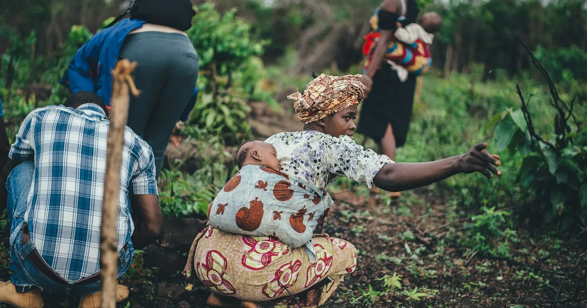 Assistant IA pour conseils agricoles via WhatsApp au Mali