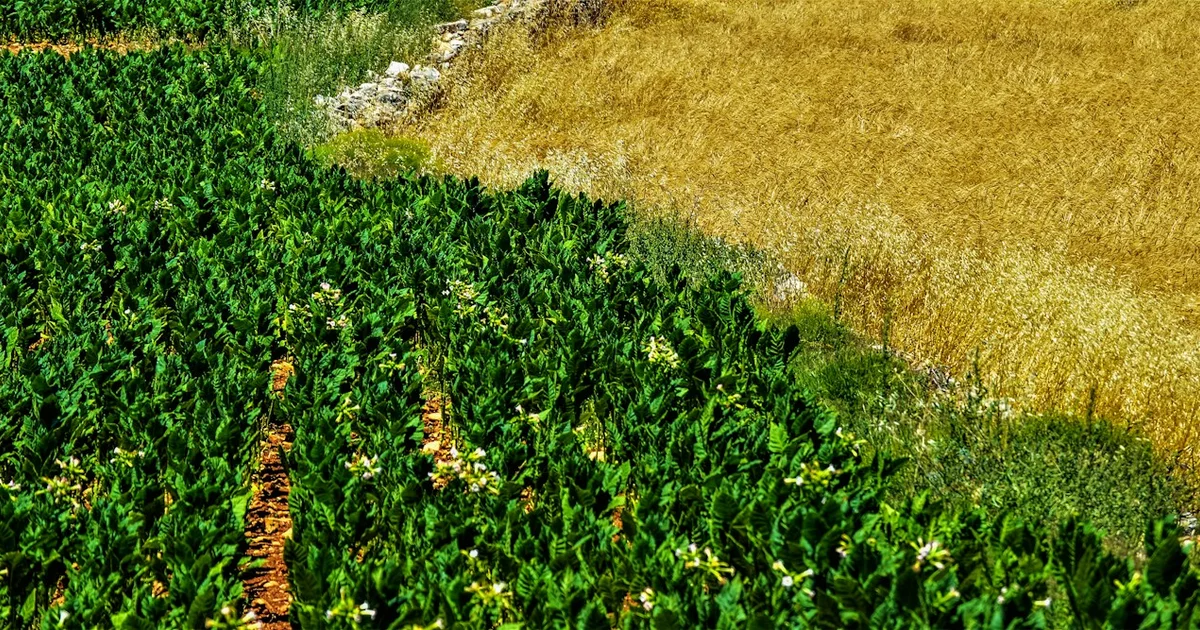 Formation pour animateurs du projet FIER II en entrepreneuriat rural